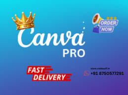 canva pro cheap price